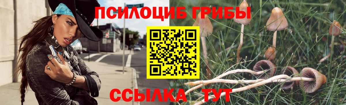 Богородицк  Галлюциногенные грибы мухоморы  Вход с VPN 
